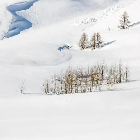 4 Pers. Aux Pieds Des Pistes Avec Parking, Animaux Acceptes - Fr-1-694-66 Val-dʼIsère